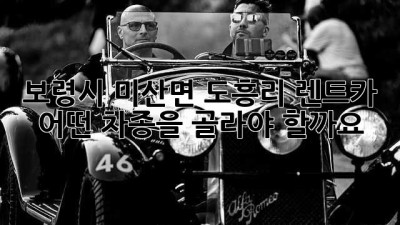 보령시 미산면 도흥리 렌트카, 어떤 차종을 골라야 할까요?